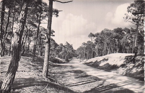 Lacanau ocean route en - ocean,