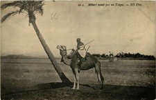 CPA AK ALGERIA Mehari monte