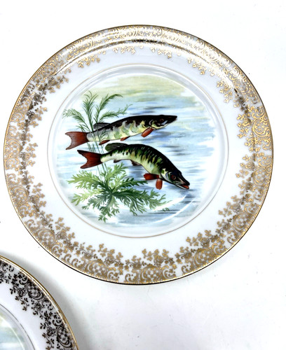 Limoges décor poisson contour - décor,