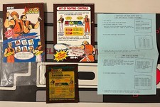 Artset Flyers Marquee Dip Switch Art Of Fighting Neo Geo Mvs Snk Arcade Neogeo