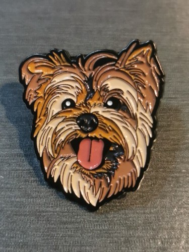 Yorkshire terrier dog chien - yorkshire,