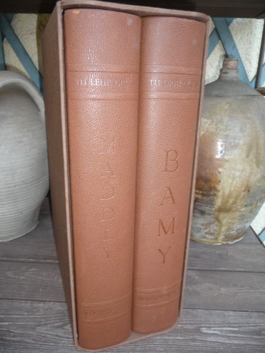 Maddly bamy leur diras - bamy, tu