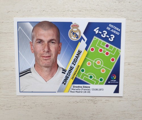 Panini zinedine zidane - panini,