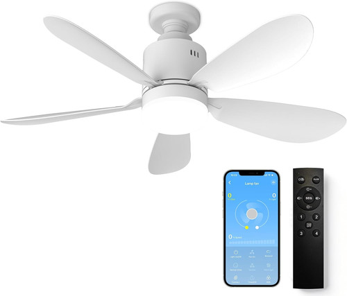 Ventilateur plafond avec - ventilateur,