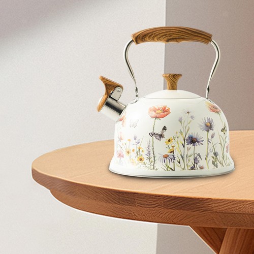Bouilloire sifflante design - sifflante,