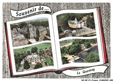 DE-BFP1-0346-59 - LE QUESNOY - Vue panoramique - Chateau de sartel - Plage et