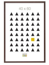 S44CH4 Basic Cadre Photo