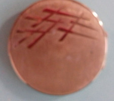 POUDRIER LAITON AVEC SA HOUPETTE - STRATTON -