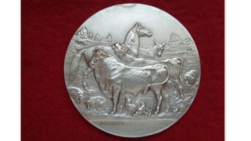 Medaille bronze argente - medaille,