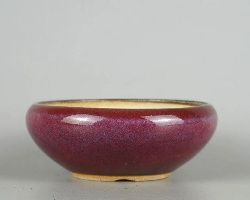 Pot bonsaï japonais - bonsaï,