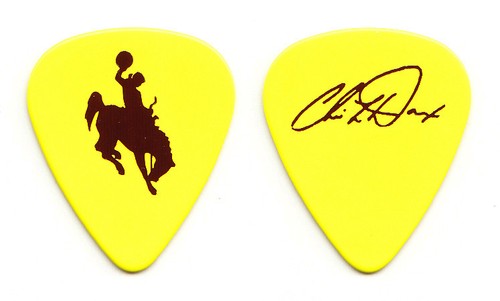 Pick guitare chris ledoux - pick,