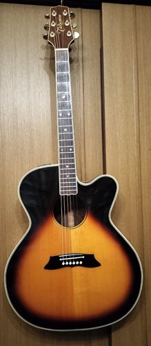 Takamine acoustic electric - takamine,
