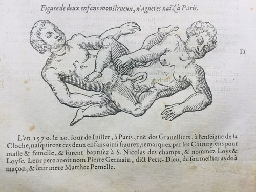 Jumelle 1614 jumeau - jumelle,