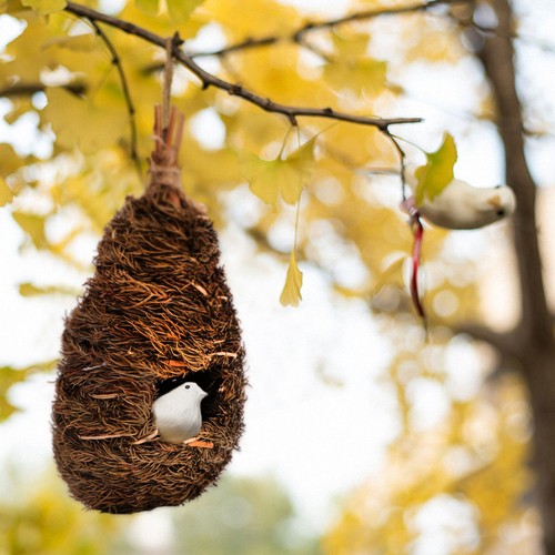 Niche oiseaux exterieur cabane - niche,