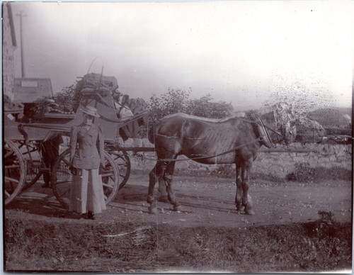 Ecosse calèche voiture à - calèche,,