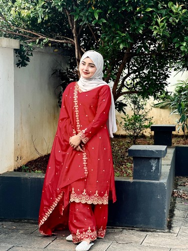 Ensemble salwar kameez indien - ensemble,