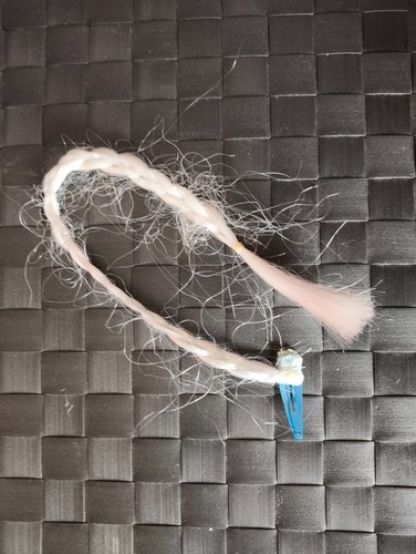 Déguisement barrette tresse