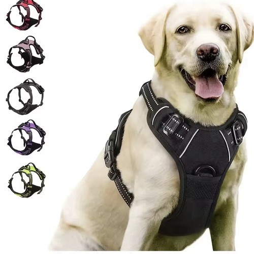 Harnais collier chien - harnais, &