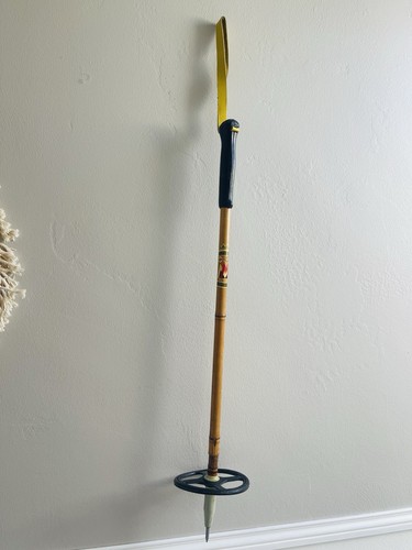 Bâton ski vintage - bâton,