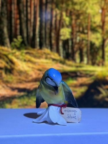 Mésange biscuit porcelaine - mésange,