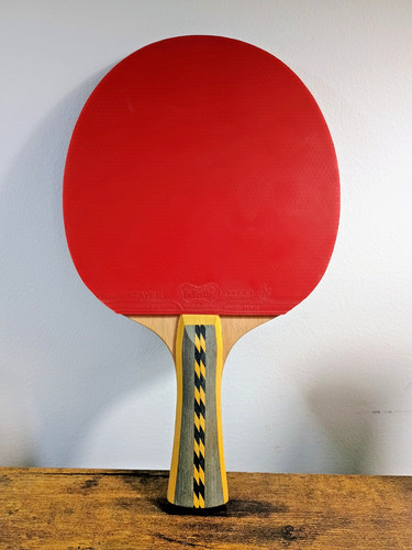 Butterfly ping pong paddle - pong,