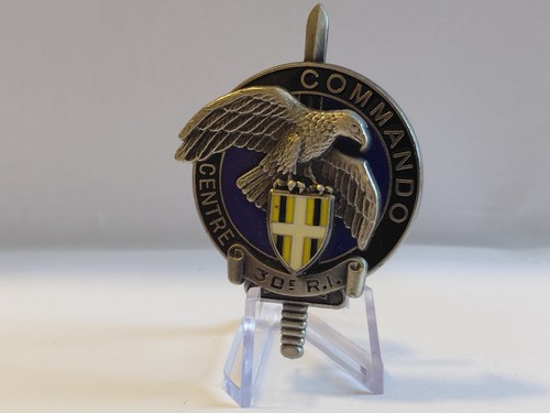 Insignes brevet cnec - insignes,