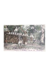 Ancienne carte postale palombière