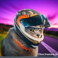 Mini Casque moto Protection pour Tête Chien Chat | Accessoire  Moto Extérieur