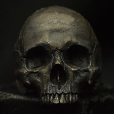 skull ring silver  large size