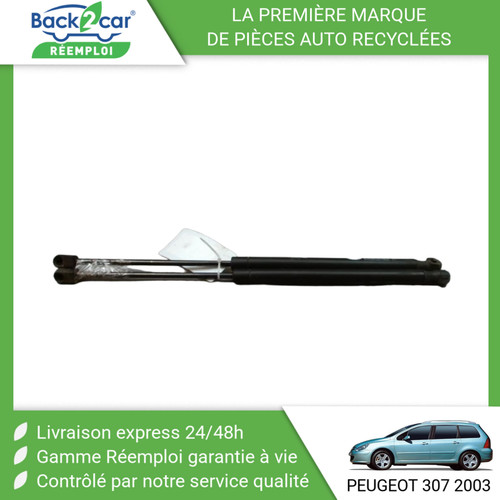 Verin hayon peugeot 307 - g,