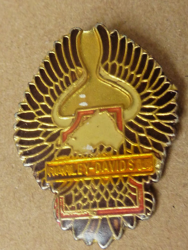 Pin pins badge motorcycle - pin's, badge.