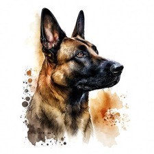 3 x autocollants Belgian Malinois 9 x 9 cm autocollants pour chiens voiture...