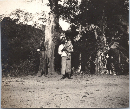 Ceylan kandy - (sri,