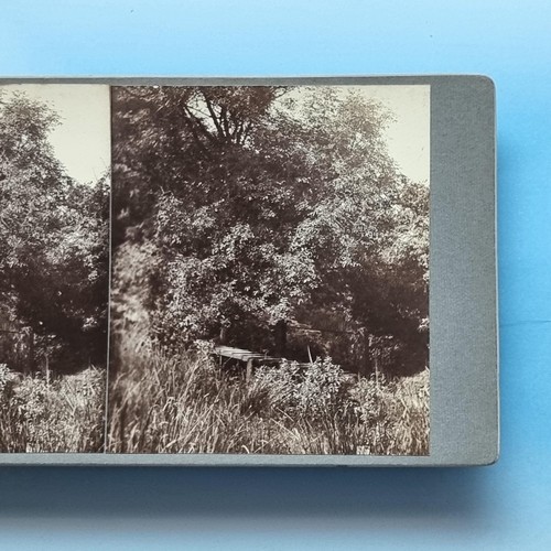 Lee village stereoview c1900 - stereoview,