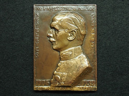 Medaille plaque bronze - medaille, zannie