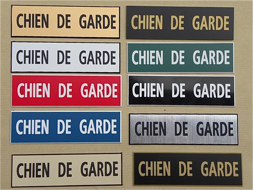Plaque gravée chien - plaque,