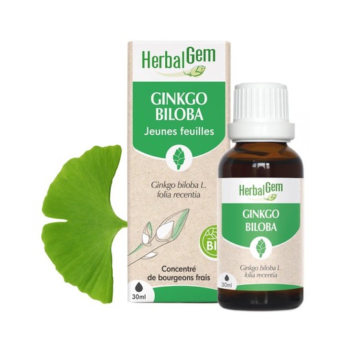 Bourgeons ginkgo biloba bio - bourgeons,