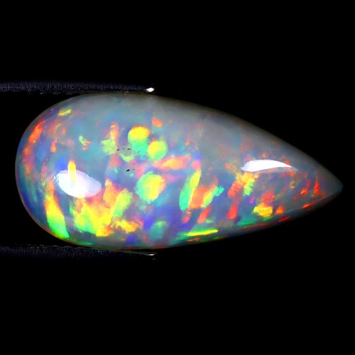Shimmering pear - ct,