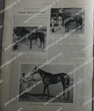 1900 HIPISME - L'ECURIE DE