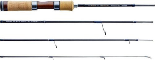 Tenryu rayz integral - tenryu,