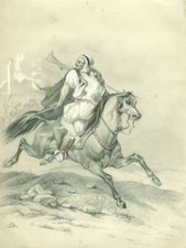 Enlèvement harem cheval - l'enlèvement,