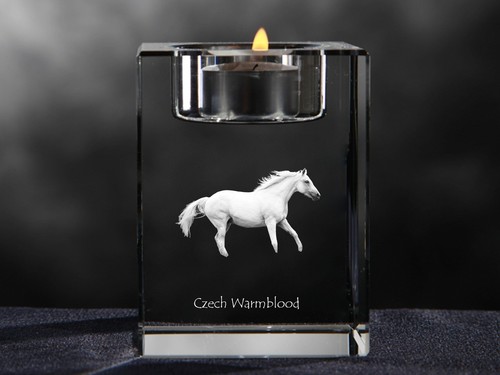 Czech warmblood bougeoir en - czech,