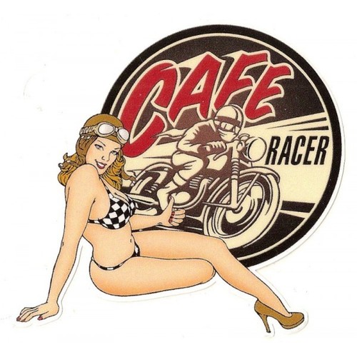 Cafe racer right pin - , up