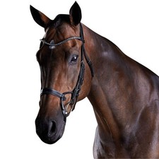 Collegiate - Licol en cuir