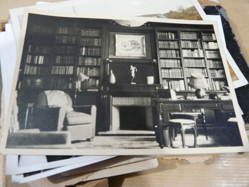 Lot photo snapshot - photo,