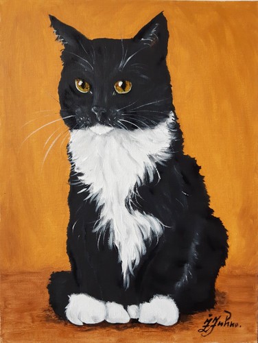 Peinture chat noir blanc - chat,