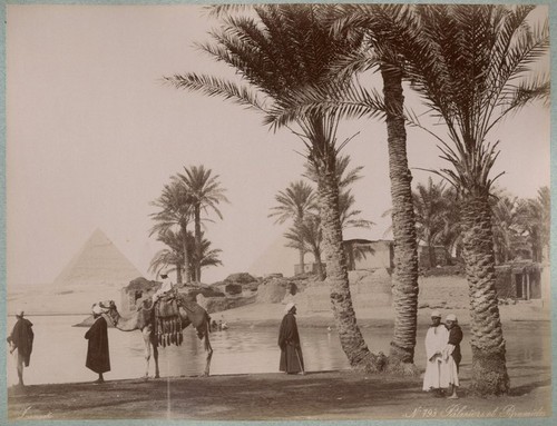 Photo zangaki albuminé egypte - photo,