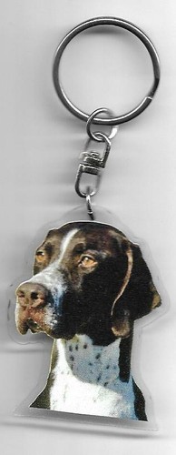 Pointer chien porte - chien, /