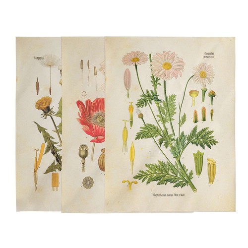 Pièces séries tapisserie - 3,