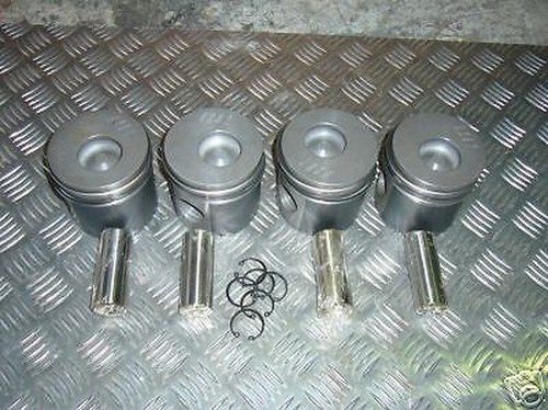 300tdi pistons standard - pistons,